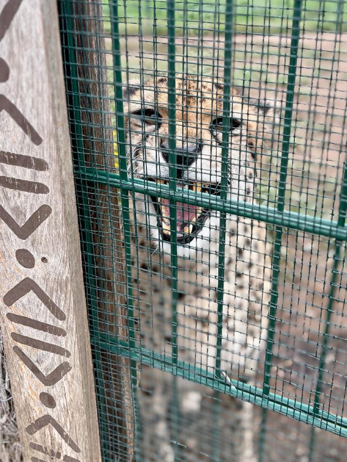 Motýlci v ZOO Plzeň