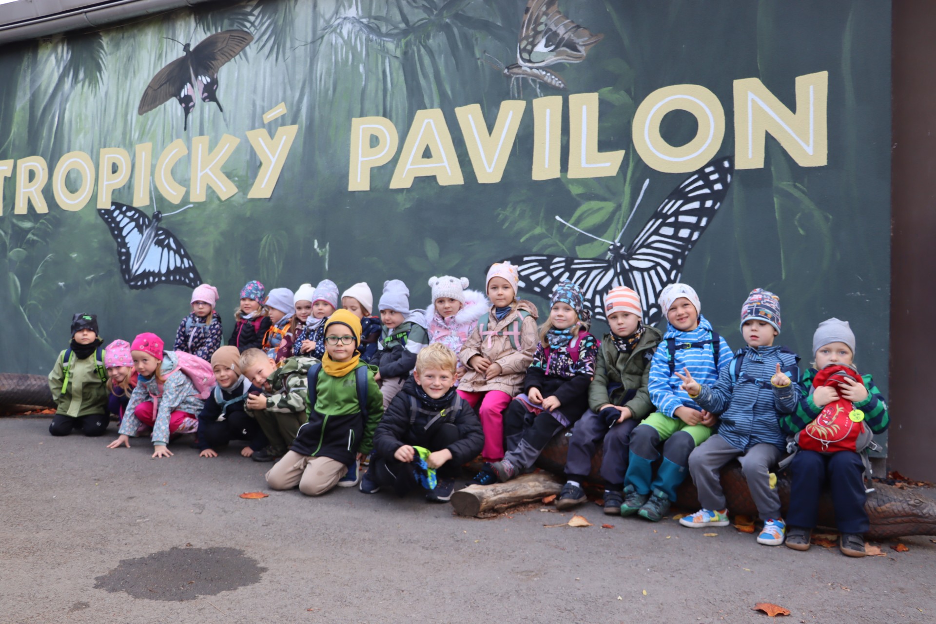 ZOO