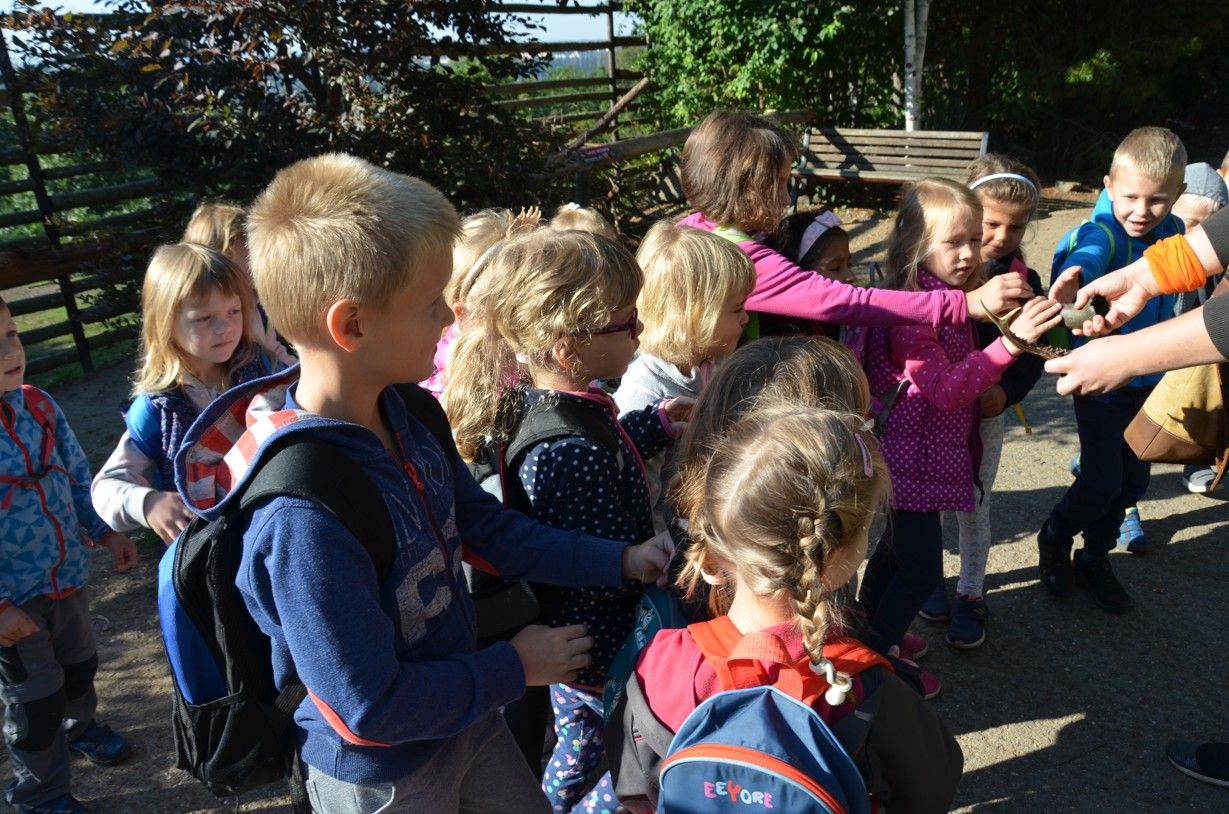 Berušky v ZOO