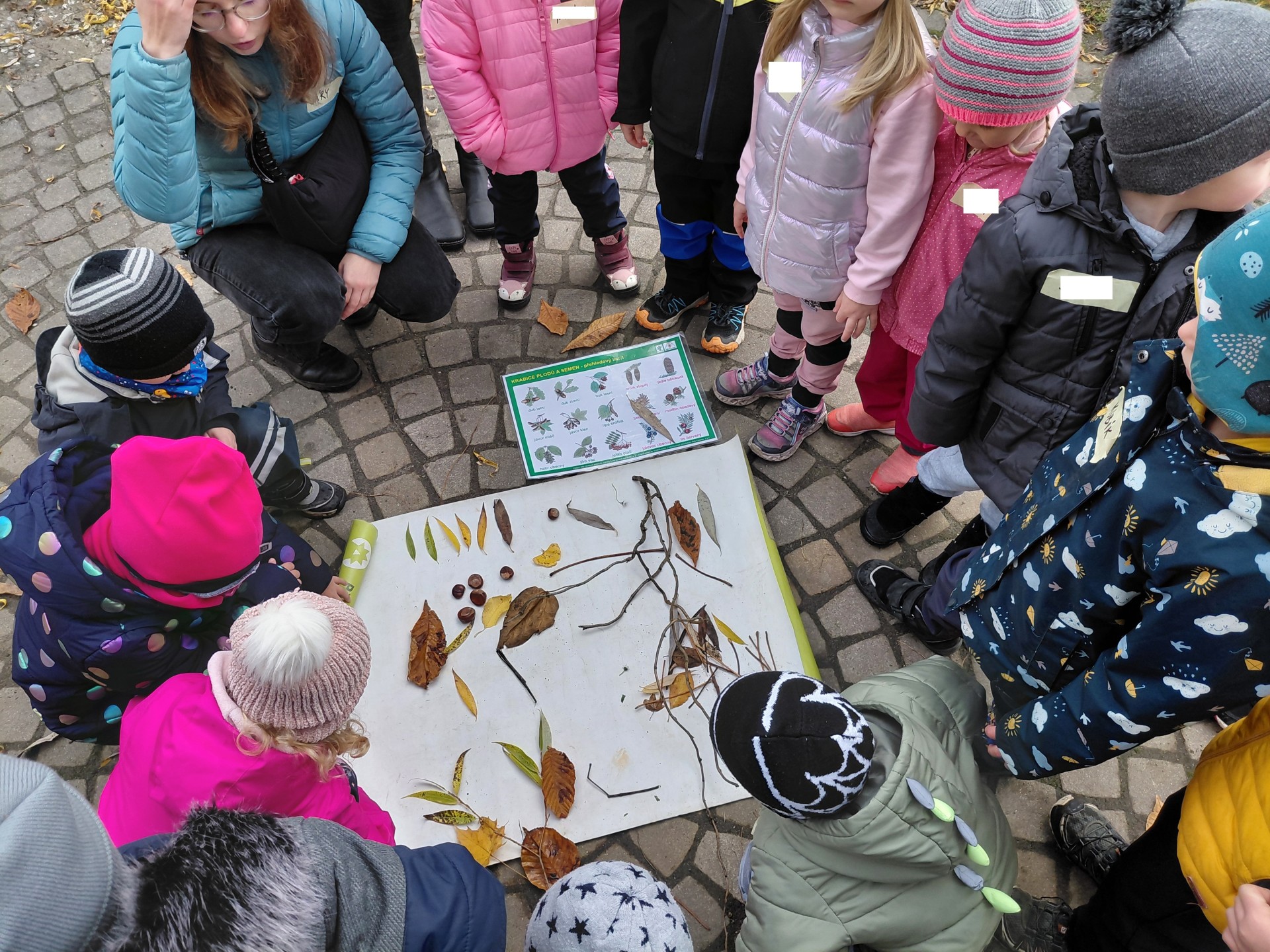 Podzim v zahradě - Sluníčka
