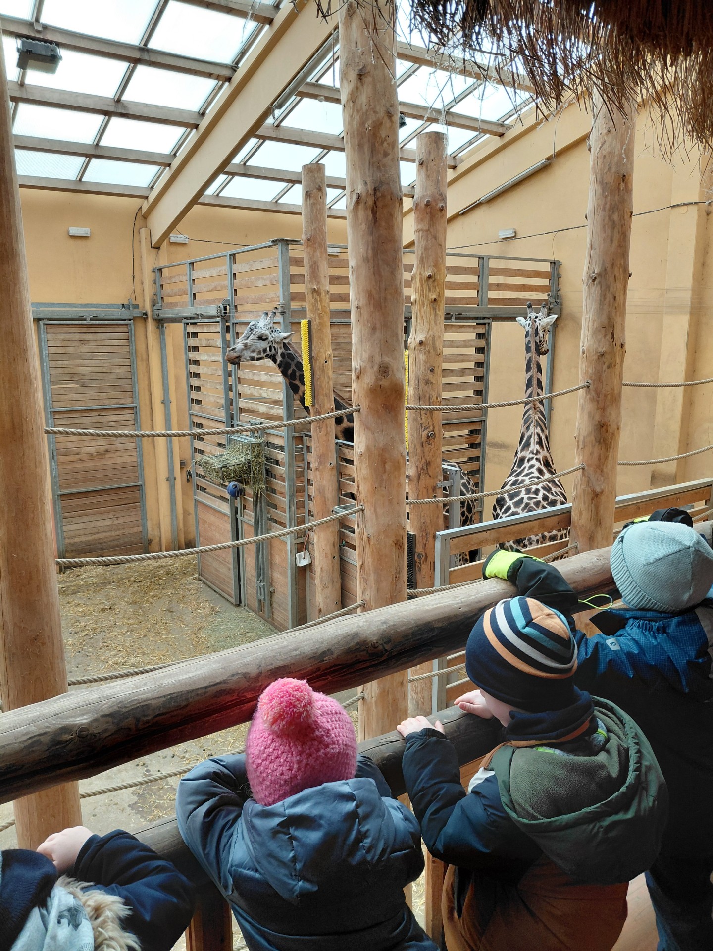 Mikulášská ZOO