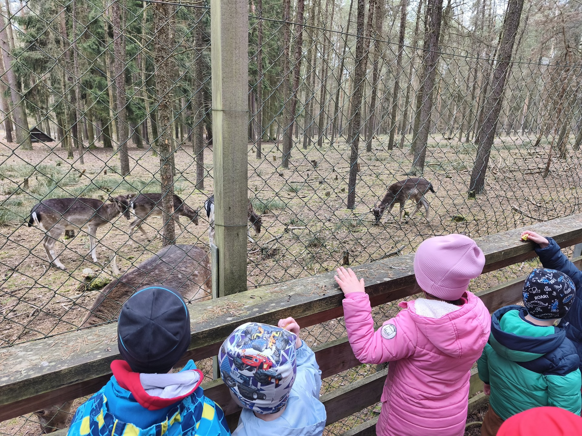 Arboretum Sofronka - Barvy, pocity a zvuky lesa