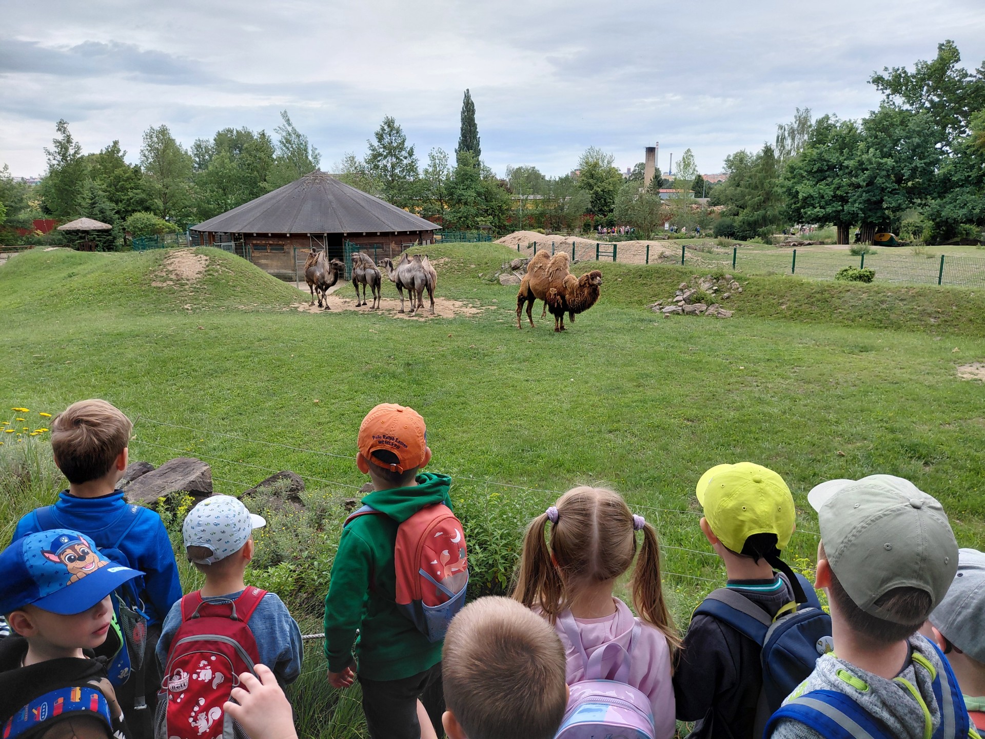 Návštěva ZOO Plzeň