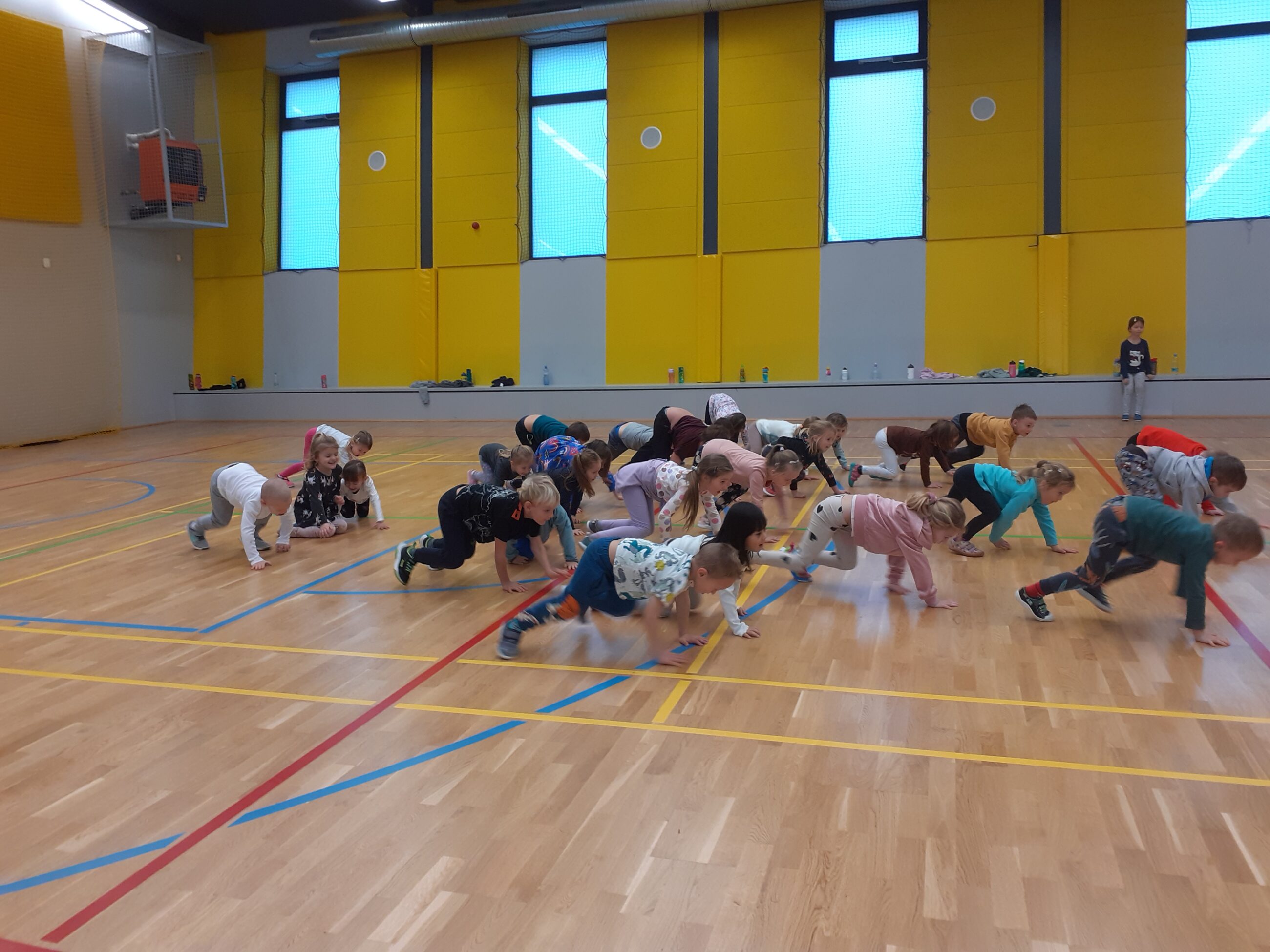 Cvičení v Sokolovně Broučci i Ferdové