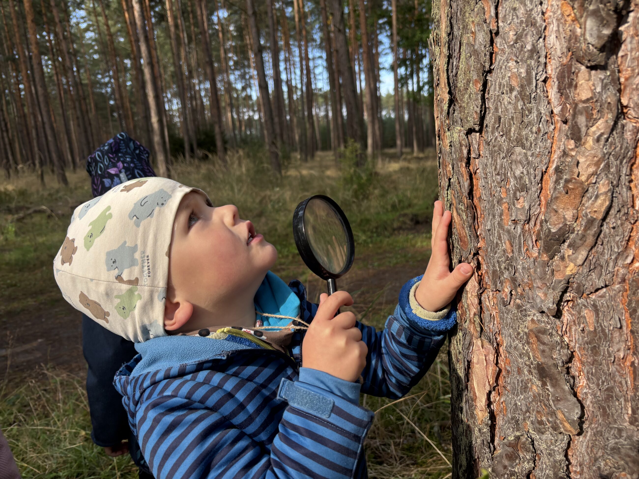 Hledáme krásu všude kolem - pavouci. Ferdové