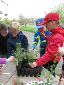 Den Země 2015- Litice