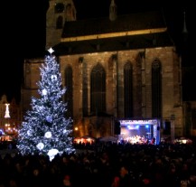 Rozsvícení vánočního stromu zahájí adventní čas v Plzni