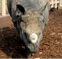 Návštěvníci plzeňské zoo se mohou zapojit do fotografické soutěže