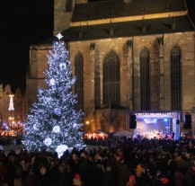 V Plzni stojí nejkrásnější vánoční strom