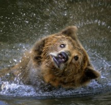 Zoologická zahrada zve na fotografický kurz