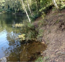 Do dvou let se má kvalita vody v Košuteckém jezírku zlepšit