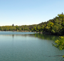 Vodu ve Velkém boleveckém rybníku správci pravidelně sledují