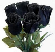 Zemřel plzeňský disident Jan Thoma