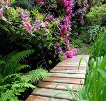 Koupí dlaždice mohou Plzeňané podpořit rekonstrukci cest v Meditační zahradě