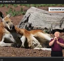 Regionální zprávy TV ZAK jsou tlumočeny do znakové řeči