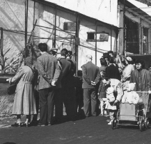 Zoologická zahrada slaví 50 let na Lochotíně nejen zvýhodněným vstupným