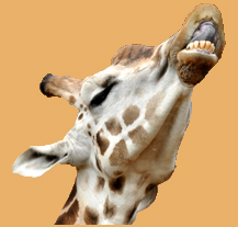 Zoologická zahrada připravila atraktivní letní program nejen pro děti