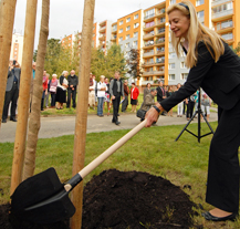 Dobrovolnické centrum Totem zahájilo sezonu vysázením dvou nových stromů