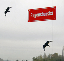 Část západního obchvatu je Regensburskou ulicí