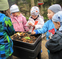 V Totemu představí netradiční pěstování zeleniny v mateřských školách