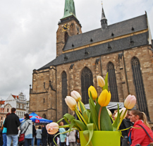 Tisíce tulipánů i obrovský drak uzavřely Bavorské kulturní dny