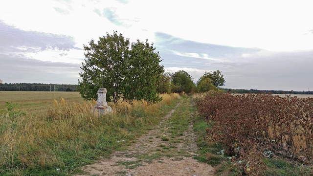 Třešňovka Křimice (foto: L. Plochý)