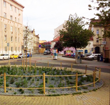 Plzeň má nové trvalkové záhony, rostliny na nich zvládnou sucho i horko