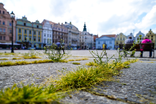 Ilustrační foto (M. Pecuch)