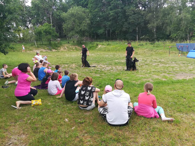 Zdroj fotografií: Městská policie Plzeň