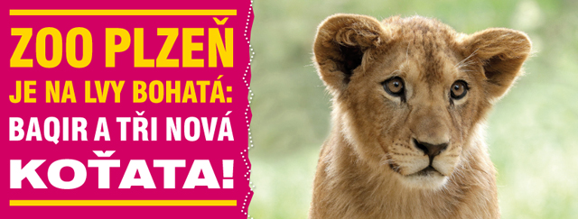 Zdroj foto: Zoo Plzeň