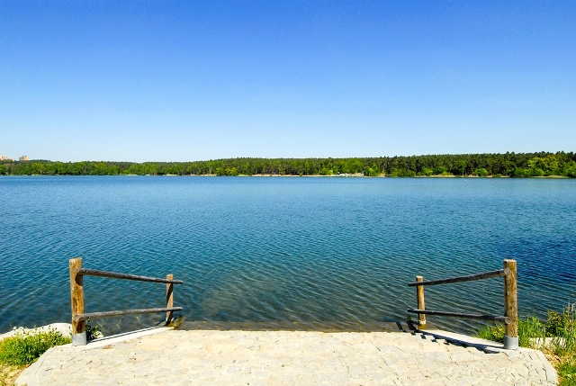 Velký bolevecký rybník