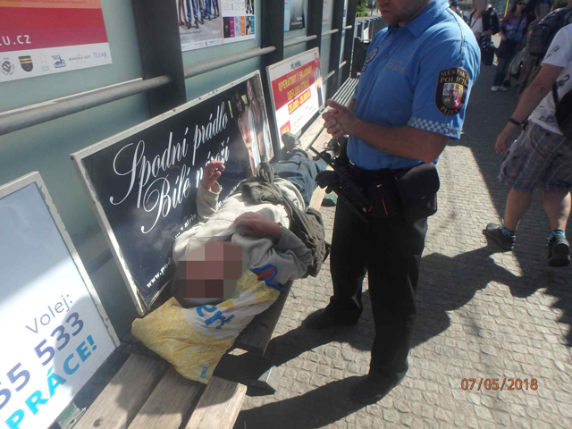 Fotografie: Městská policie Plzeň