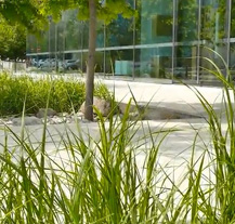 Envic seznamuje veřejnost s hospodařením se srážkovými vodami v Plzni