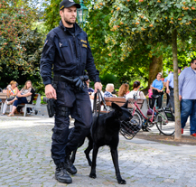 Na období konce roku reagují strážníci i policie, posilují hlídky