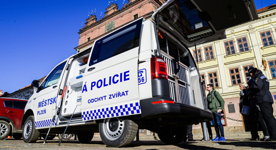 Plzeňští strážníci odchytili vloni 800 zvířat