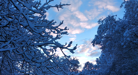 Město varuje kvůli sněhu a ledu před vstupem do parků a lesů