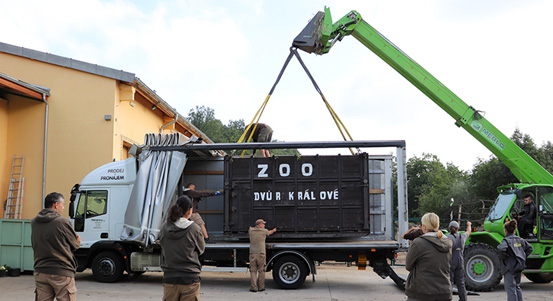 Nosorožčí samice Růženka odjela z Plzně do Basileje