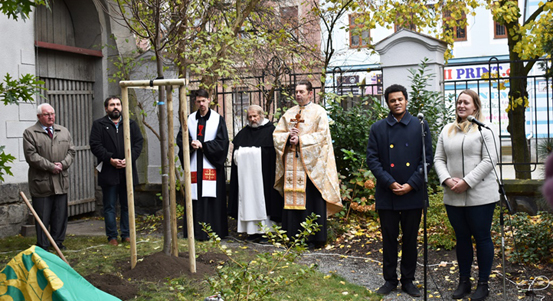 Gymnázium na Mikulášském zasadilo Lípu svobody