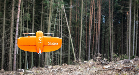 Plzeň bojuje proti kůrovci, v městských lesích pomáhají drony