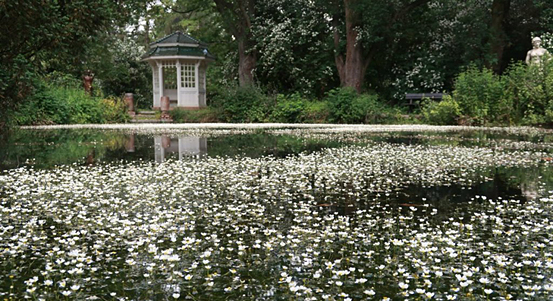 Město Plzeň se připojí k Víkendu otevřených zahrad
