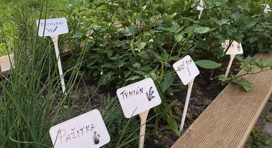 V 57. mateřské škole zalévají dešťovou vodou