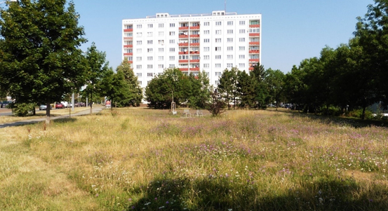 Plzeň má nová doporučení, jak se starat o trávníky