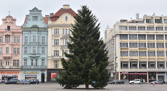 Na plzeňském náměstí Republiky už stojí vánoční jedle