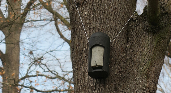 V Lochotínském parku přibyly nové ptačí budky