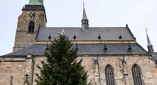 Jedle na náměstí Republiky se rozsvítí v neděli, událost bude možné sledovat jen online