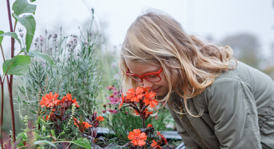 Nadační fond Zelený poklad rozdělil milion korun