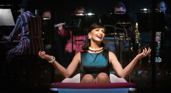 Plzeňské divadlo přerušilo natáčení představení pro on-line cyklus První řada u Vás doma