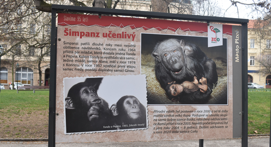 Plzeňská zoo slaví 95 let od svého založení výstavou, v pondělí otevře své brány návštěvníkům