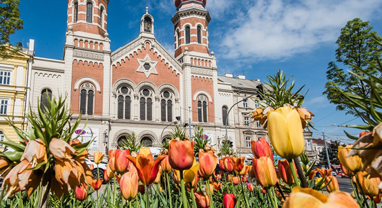 Plzeň se stará o stovky hektarů trávníků, tisíce metrů čtverečních záhonů a přes 18 tisíc stromů