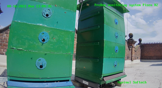 Včelám se daří i v centru Plzně. Včelstva jsou na budovách magistrátu, na škole i v Centru robotiky. Zájemci je mohou sledovat online